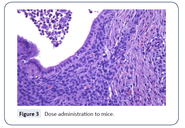 rare-disorders-diagnosis-therapy-administration-mice
