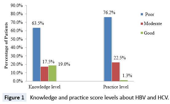 raredisorders-Knowledge-practice-score-levels
